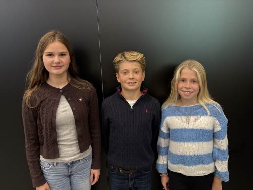 Ane (sekretær), Noah (elevrådsleder) og Helene (nest leder)